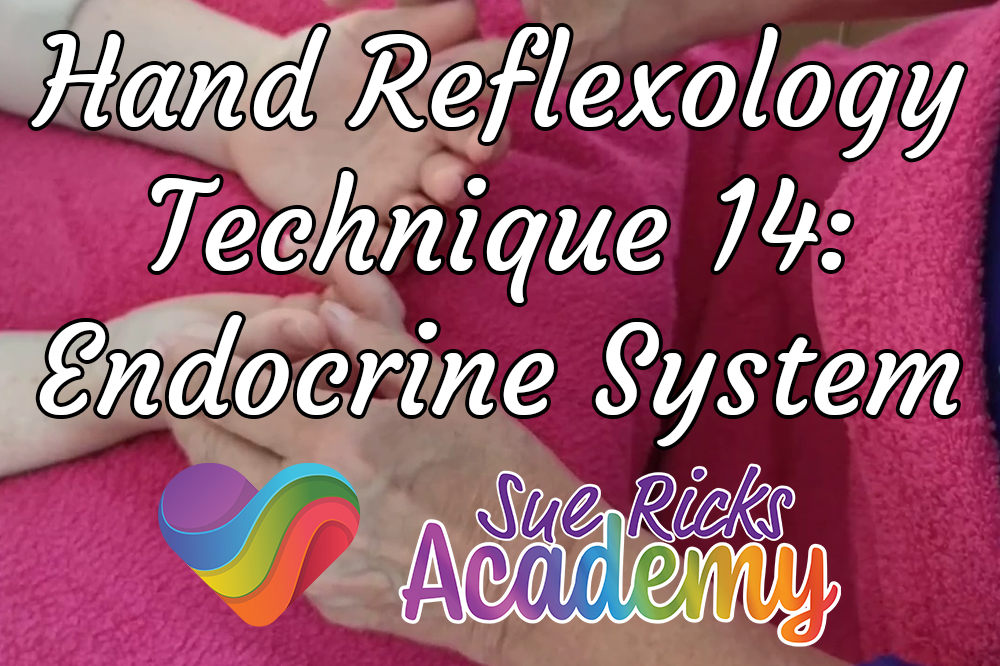 Hand Reflexology Technique 14  - Endocrine System